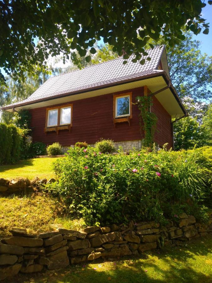 Domek Tosia Villa Bukowiec  Exteriör bild